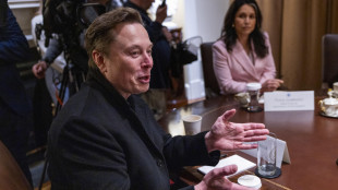 Lincei, 'profonda preoccupazione' per la nuova costellazione di Musk