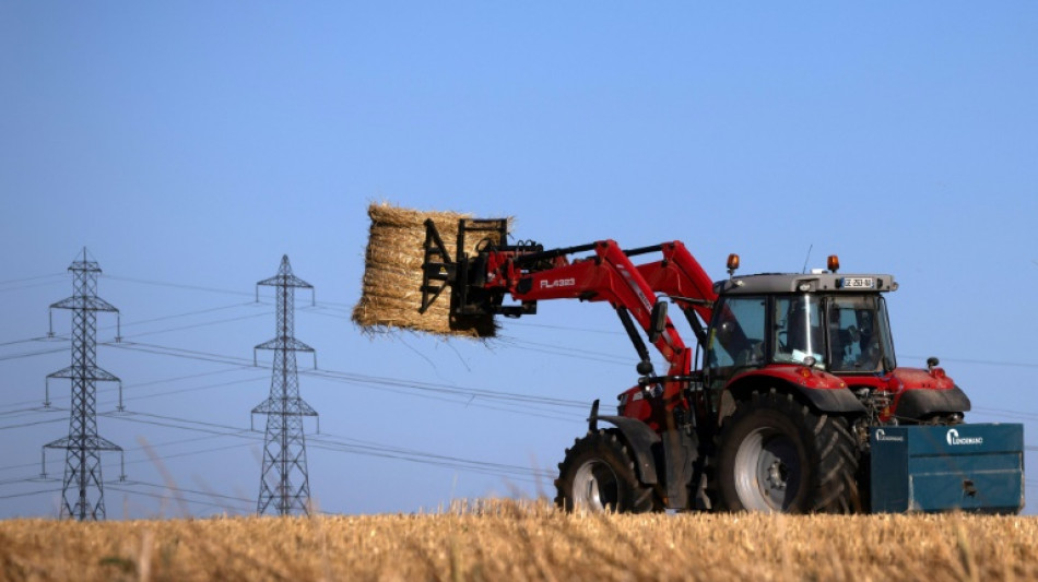 83-J&auml;hriger wird in Bayern von Traktor &uuml;berrollt und stirbt