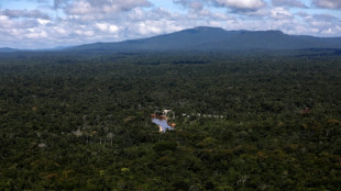 Venezuela, Guyana agree not to 'use force' to settle land dispute