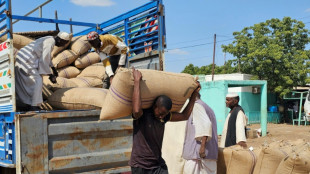 ONU advierte que carece de miles de millones de dólares para combatir el hambre mundial