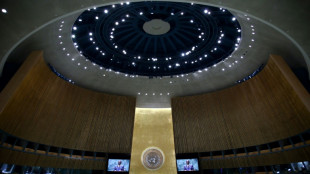 Gaza: l'Assembl&eacute;e g&eacute;n&eacute;rale de l'ONU r&eacute;clame un cessez-le-feu imm&eacute;diat et "inconditionnel"