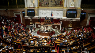 Pouvoir d'achat: d&eacute;nouement jeudi au Parlement