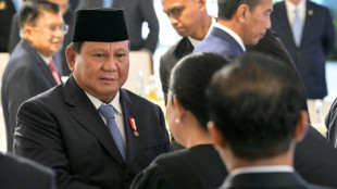 Indonesia lanza un fondo soberano con 900.000 millones de d&oacute;lares