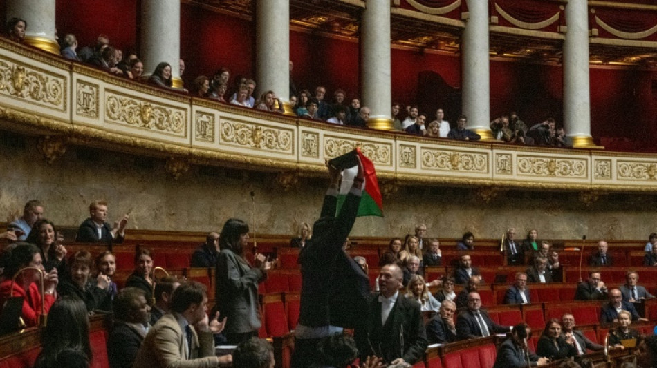 Parlamento franc&ecirc;s sanciona deputado por mostrar bandeira palestina