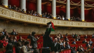 Parlamento franc&ecirc;s sanciona deputado por mostrar bandeira palestina