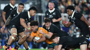 Wallabies coach has 'faith' as All Blacks juggernaut awaits 