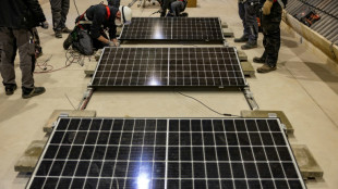 Studie: Investitionen in Solarkraft werden 2023 die in &Ouml;lf&ouml;rderung &uuml;bertreffen
