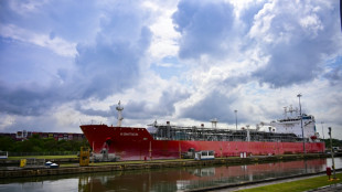 Empresa de Hong Kong considera incluir investidor chinês na venda de portos do Panamá