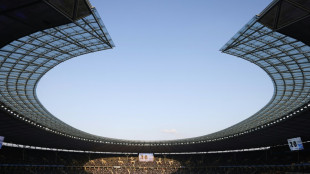 UEFA vergibt EM-Finale an Berlin - Er&ouml;ffnungsspiel in M&uuml;nchen
