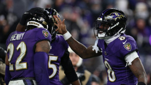 NFL-Play-offs: Ravens und Texans in der Divisional Round