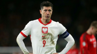 Lewandowski anuncia que não jogará pela seleção polonesa enquanto Michał Probierz for o treinador