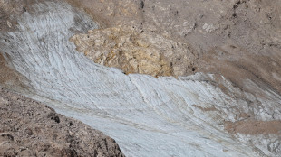 Il 3% dei ghiacciai causa la perdita di oltre la met&agrave; dei ghiacci