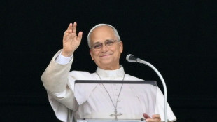 Le pape s'adresse &agrave; la foule au Vatican pour la premi&egrave;re fois depuis son op&eacute;ration