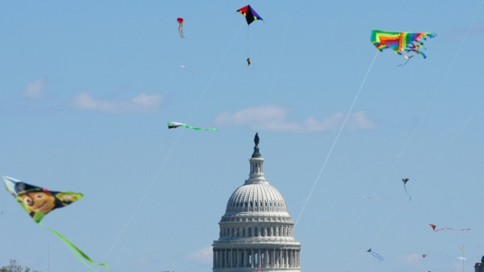 Cherry blossoms, kite-flying and 'No Kings' converge on Washington