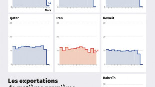 Effondrement des exportations de mati&egrave;res premi&egrave;res via Ormuz, sauf venant d'Iran