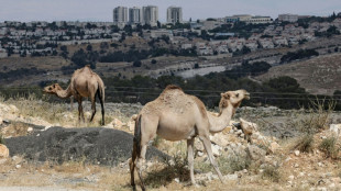 Berlin, London, Rom und Paris: Israel muss Siedlungspl&auml;ne f&uuml;r Westjordanland zur&uuml;cknehmen