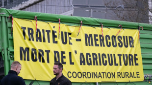 Des agriculteurs de la Coordination rurale tentent vainement de manifester &agrave; Paris