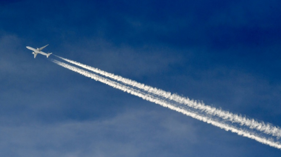 Des compagnies a&eacute;riennes europ&eacute;ennes veulent repousser une &eacute;tape de leur d&eacute;carbonation