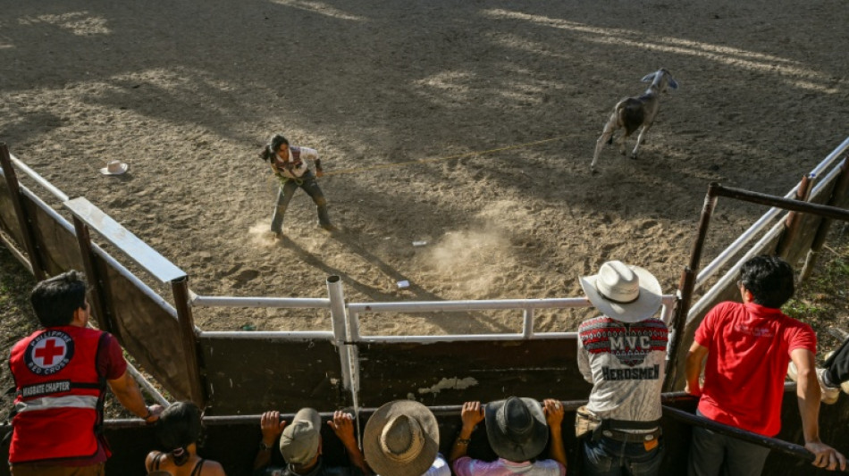 Aux Philippines, les "cowgirls" de Masbate domptent les boeufs et les pr&eacute;jug&eacute;s