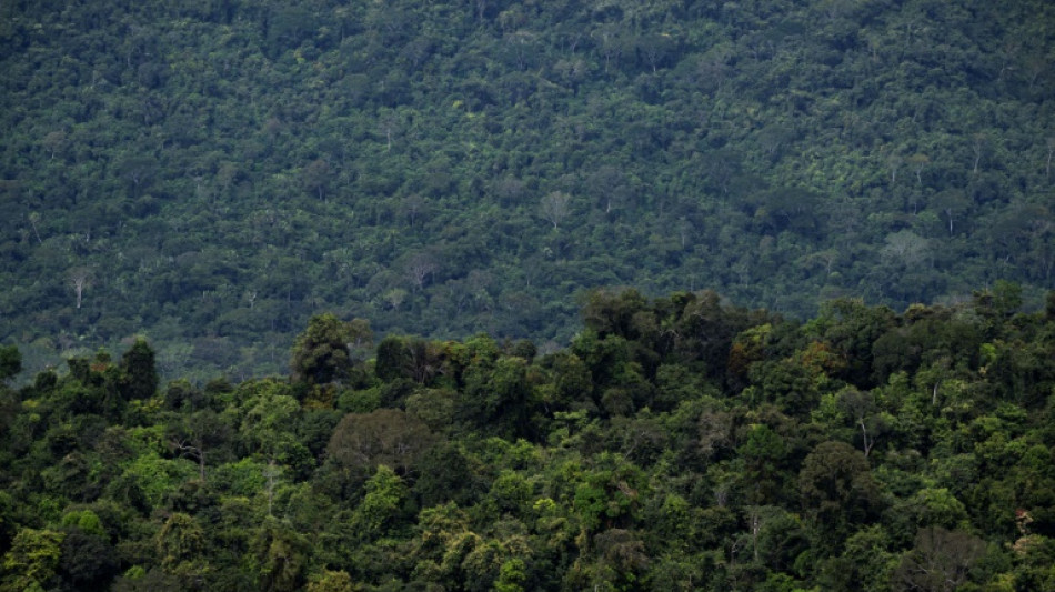 C&acirc;mara aprova texto-base de projeto que limita demarca&ccedil;&atilde;o de terras ind&iacute;genas