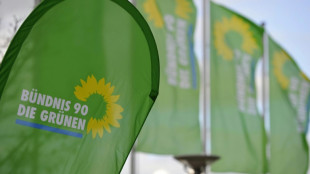 Ost-Gr&uuml;ne fordern gewichtigere Rolle in Bundestagsfraktion