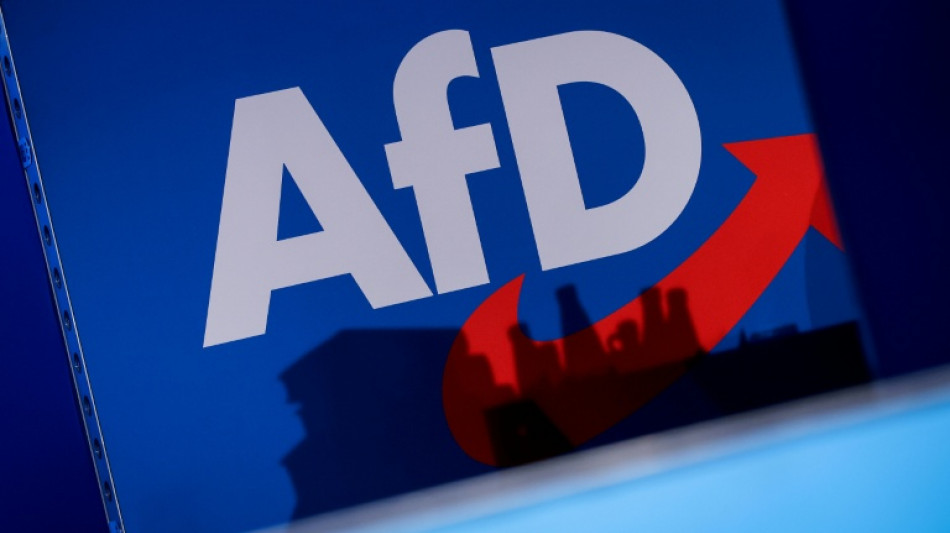 AfD stellt 185.000 Euro f&uuml;r neue  "Arbeitsgruppe Regierungsbeteiligung" bereit