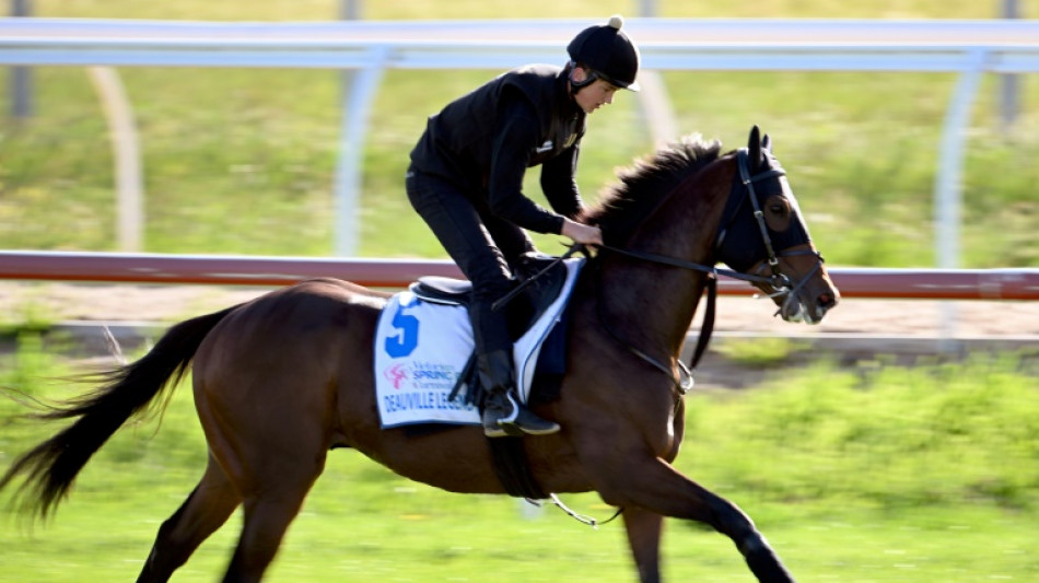Deauville Legend hot favourite as McEvoy targets fourth Melbourne Cup