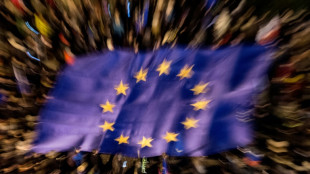 Gemeindebund fordert von Prominenten Einsatz f&uuml;r Demokratie vor Wahlen