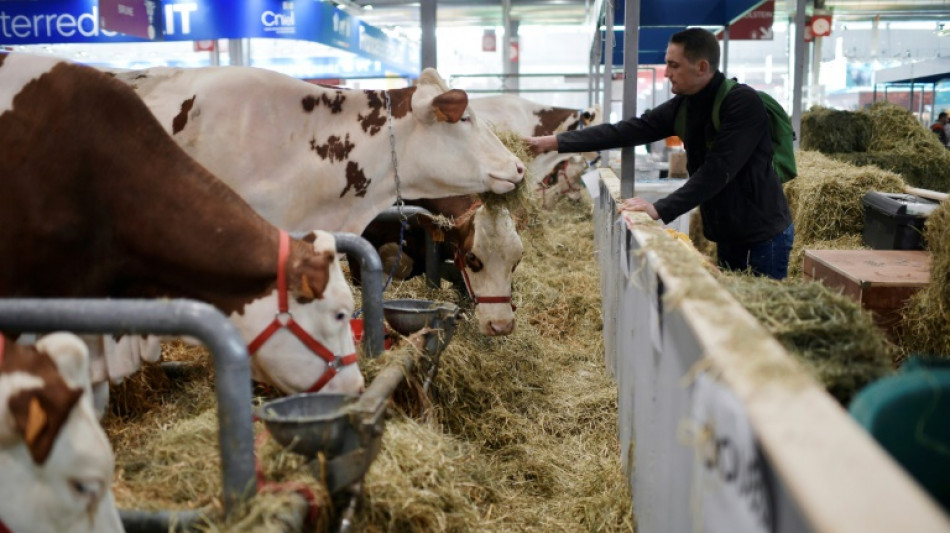 Rinderhalter und Milchviehbetriebe k&ouml;nnen an Initiative Tierwohl teilnehmen 