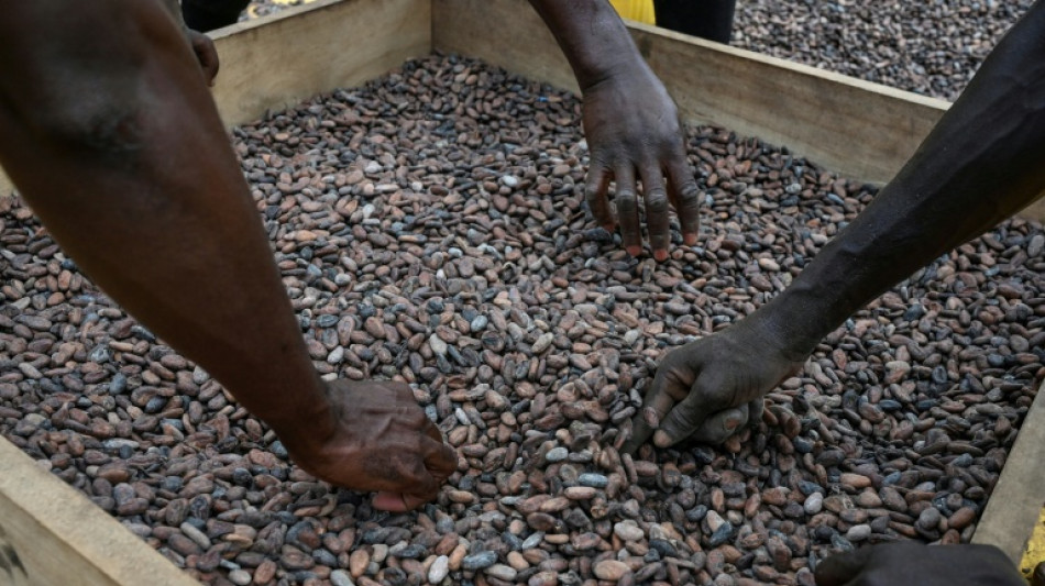 Chocolate prices high before Christmas despite cocoa fall