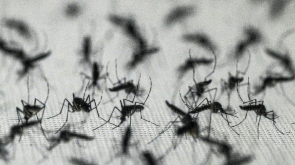 Le Br&eacute;sil suspend la vaccination contre la dengue par dose unique apr&egrave;s deux morts suspectes