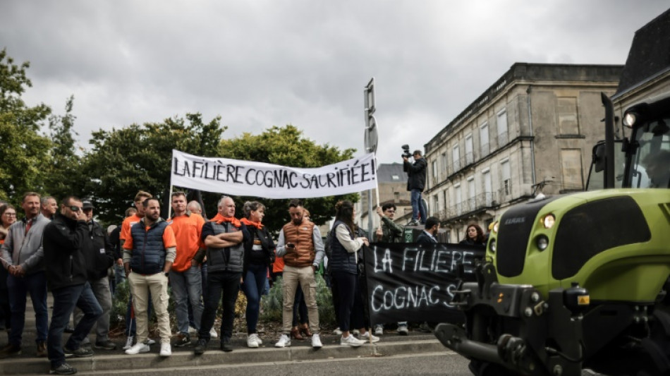 Cognac-Winzer protestieren in Frankreich gegen drohende chinesische Strafz&ouml;lle