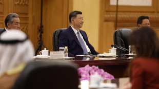 Xi presenta un piano in 4 punti per la pace al principe emiratino Bin Zayed