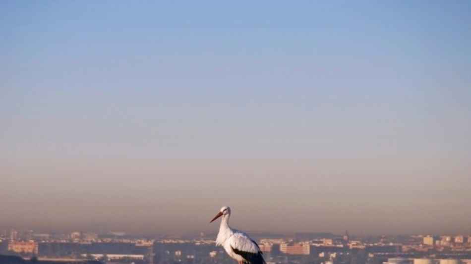 La contaminaci&oacute;n ambiental agrava los trastornos de salud mental, seg&uacute;n un informe