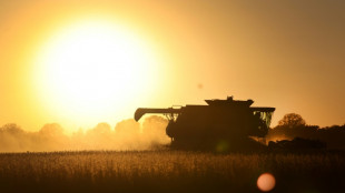 Landwirtschaftsmesse Gr&uuml;ne Woche startet in Berlin