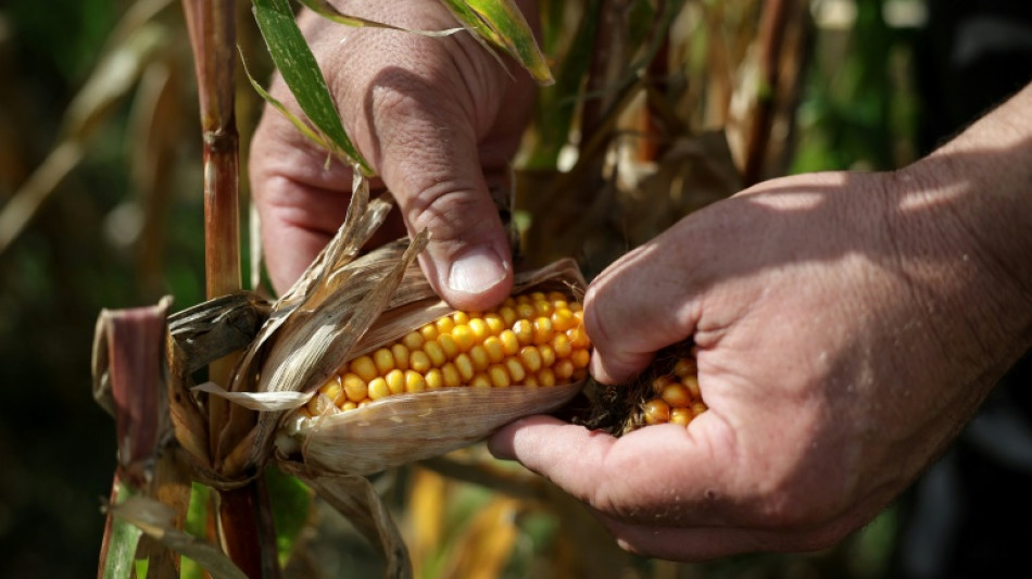 Croissance fran&ccedil;aise: canicules et s&eacute;cheresse co&ucirc;teront 0,1 point de PIB en 2026, estime Bercy