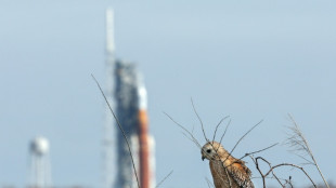 La NASA regresa el cohete lunar a su hangar para unas reparaciones