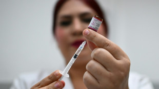 WHO, Lula urge G7 action on finishing pandemic treaty