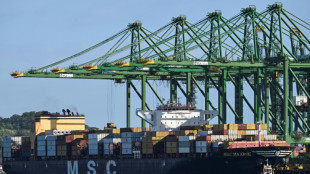 Empresa hongkonesa dice que discutir&aacute; con Panam&aacute; el futuro de puertos en el canal