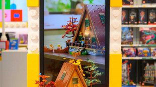 Il gruppo Percassi continuer&agrave; a investire con Lego a dieci anni dall'alleanza