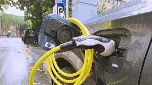 E-car da record in Ue, 720mila vendite nel secondo trimestre 2025