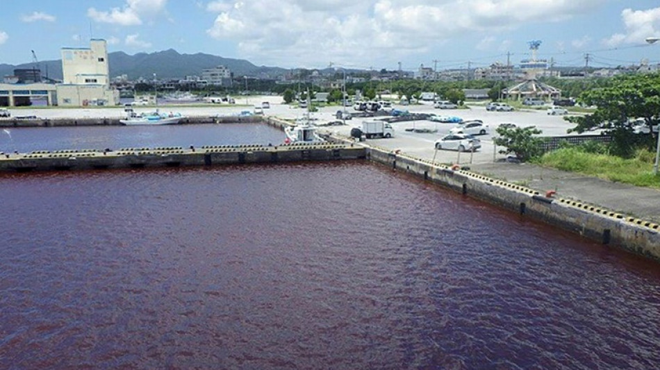 Wasser im Hafen der japanischen Insel Okinawa f&auml;rbt sich blutrot