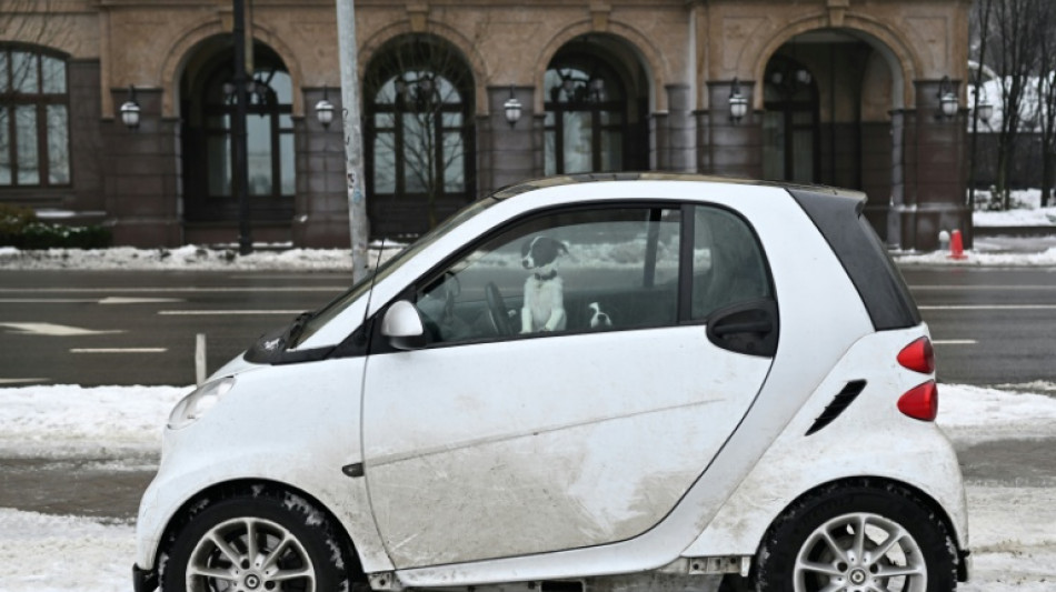 Trump dice que Putin acord&oacute; no atacar Kiev durante una semana