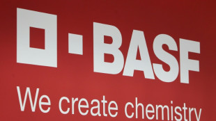 Verbotenes Insektizid laut Behörden auf BASF-Gelände bei Lyon entdeckt