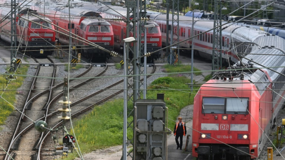 13-J&auml;hriger wirft in Magdeburg Radio auf Zug und muss zehntausende Euro zahlen