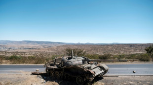 Regi&oacute;n et&iacute;ope del Tigr&eacute;, escenario de "limpieza &eacute;tnica" y "cr&iacute;menes de guerra" (ONGs)
