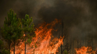 Urteil aus Rheinland-Pfalz: Heckenbrand ist kein Waldbrand