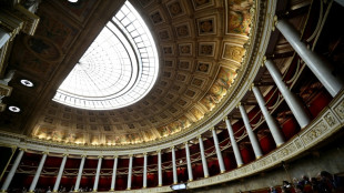Budget: &agrave; l'Assembl&eacute;e des d&eacute;bats d&eacute;cousus &agrave; l'ombre du 49.3