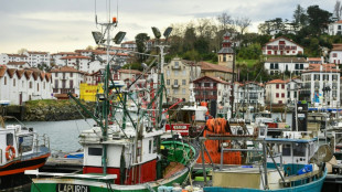 Pour prot&eacute;ger les dauphins, nouveau mois sans p&ecirc;che en 2027 dans le golfe de Gascogne