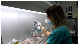 In un gene di lievito l'arma contro le malattie mitocondriali